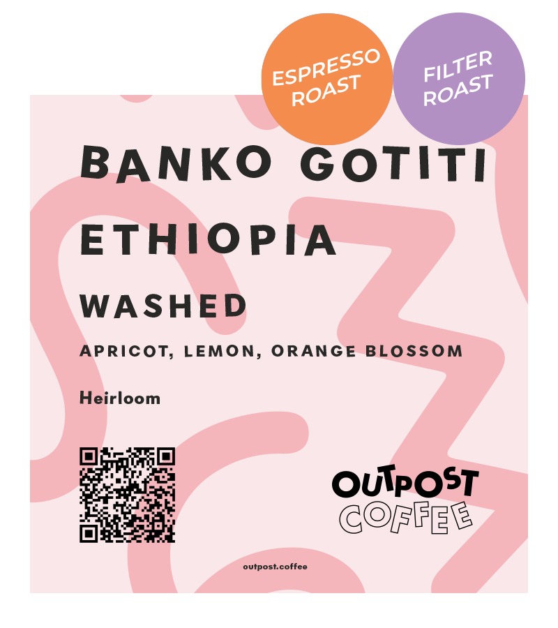 Banko Gotiti, Washed, Ethiopia