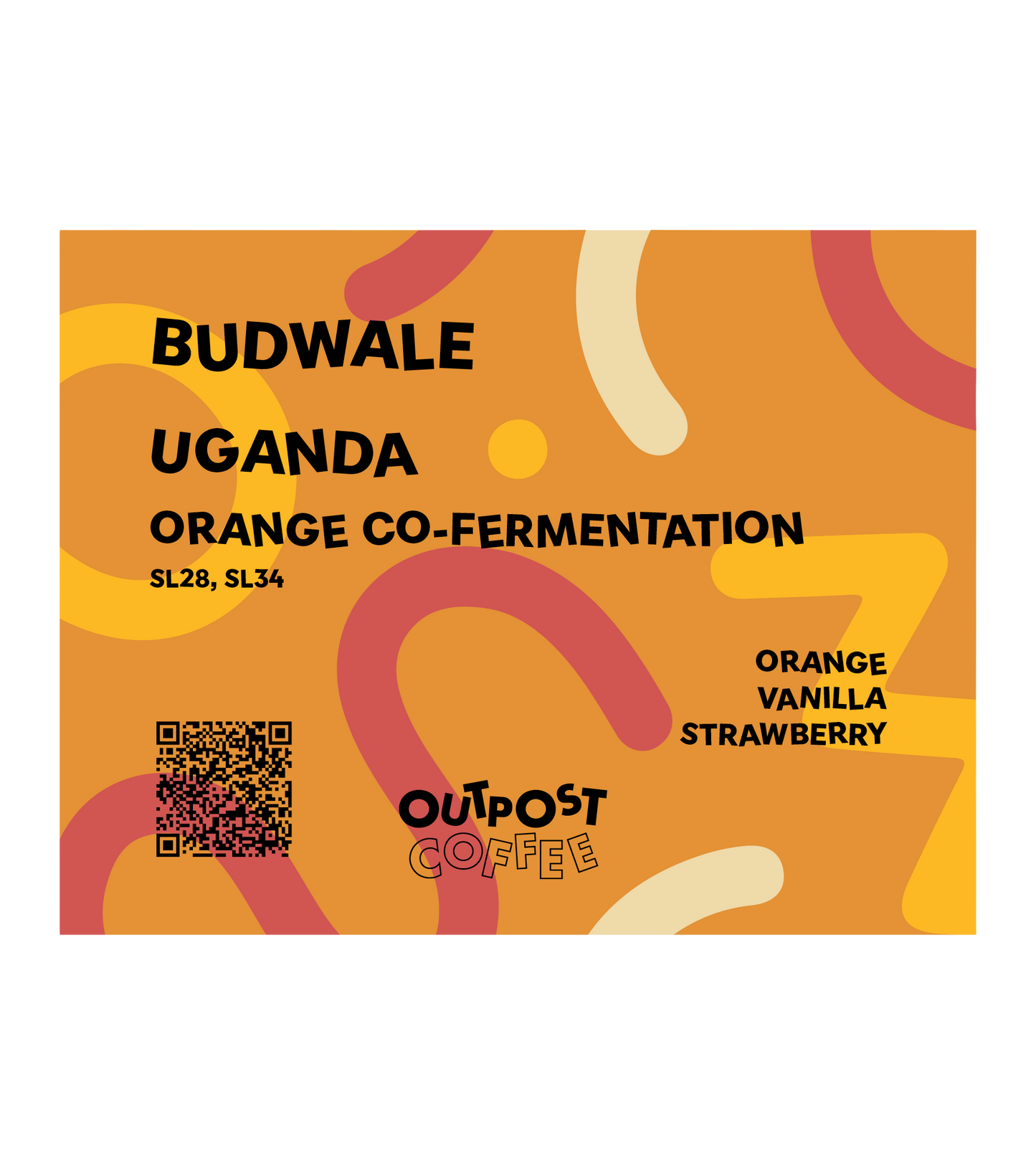 Budwale, Orange Co-Fermentation, Uganda