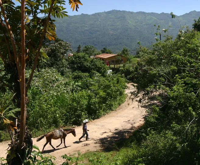 Valentine's Coffee Lover Cap Bundle