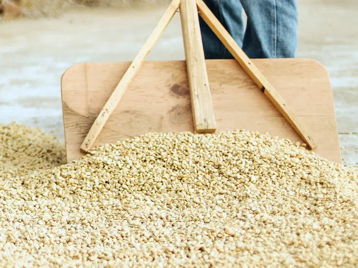 Jabiru, Washed, Guatemala