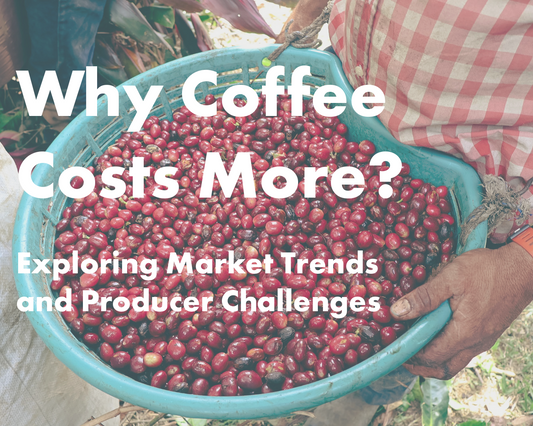 Why Coffee Costs More: Exploring Market Trends and Producer Challenges