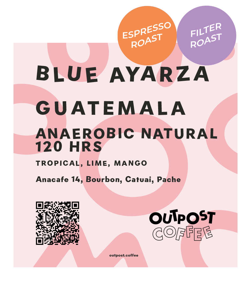 Blue Ayarza, Anaerobic Natural 120hrs fermentation, Guatemala