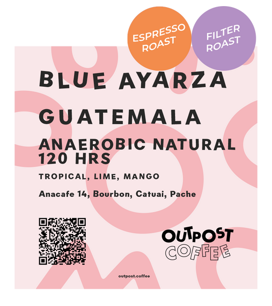 Blue Ayarza, Anaerobic Natural 120hrs, Guatemala