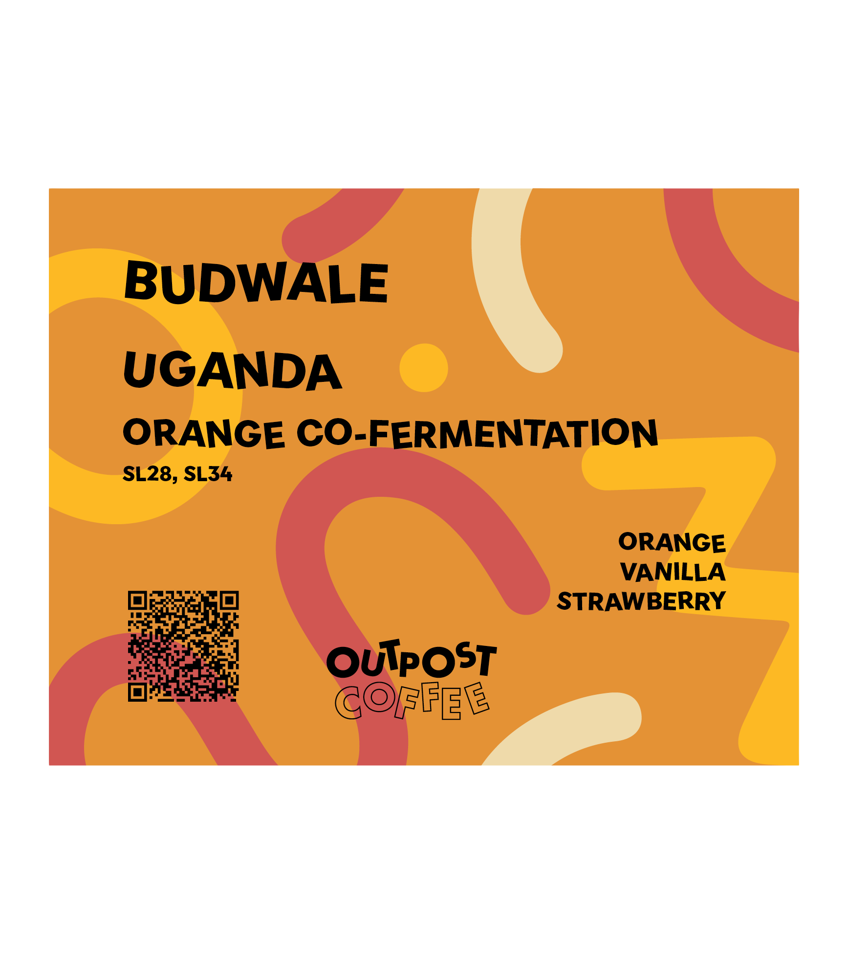 Photo of Budwale, Orange Co-Fermentation, Uganda