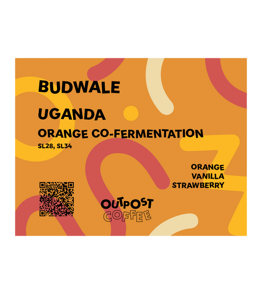 Budwale, Orange Co-Fermentation, Uganda