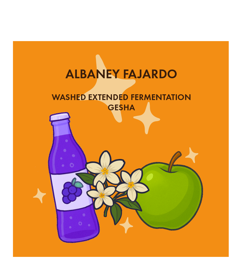 Albaney Fajardo, Washed Gesha w/Extended Fermentation, Colombia