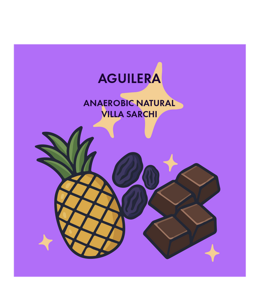 Aguilera, Anaerobic Natural, Costa Rica