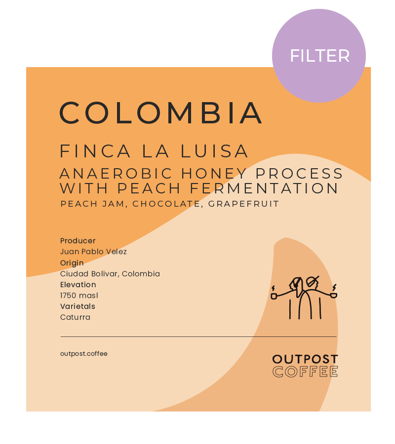 Finca La Luisa, Anaerobic Honey Process With Peach Fermentation, Colombia