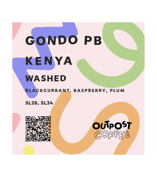Gondo PB, Washed, Kenya