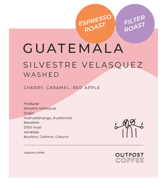 Silvestre Velasquez, Washed, Guatemala