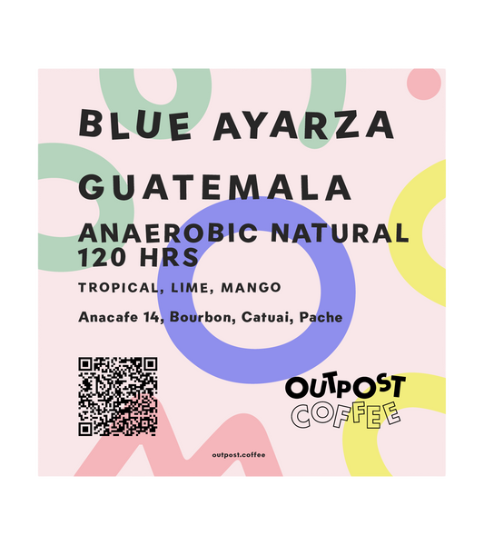 Blue Ayarza, Anaerobic Natural 120hrs fermentation, Guatemala