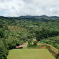 Aguilera, Anaerobic Natural, Costa Rica