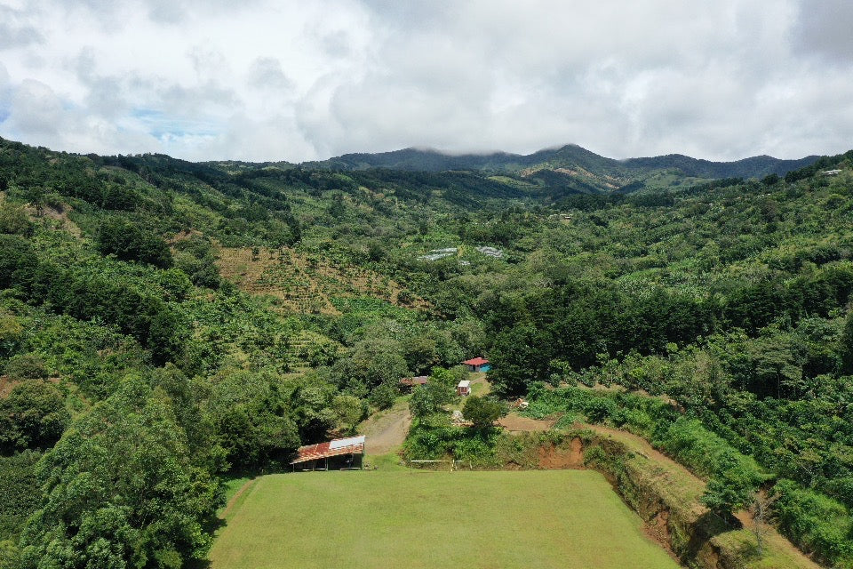 Aguilera, Anaerobic Natural, Costa Rica