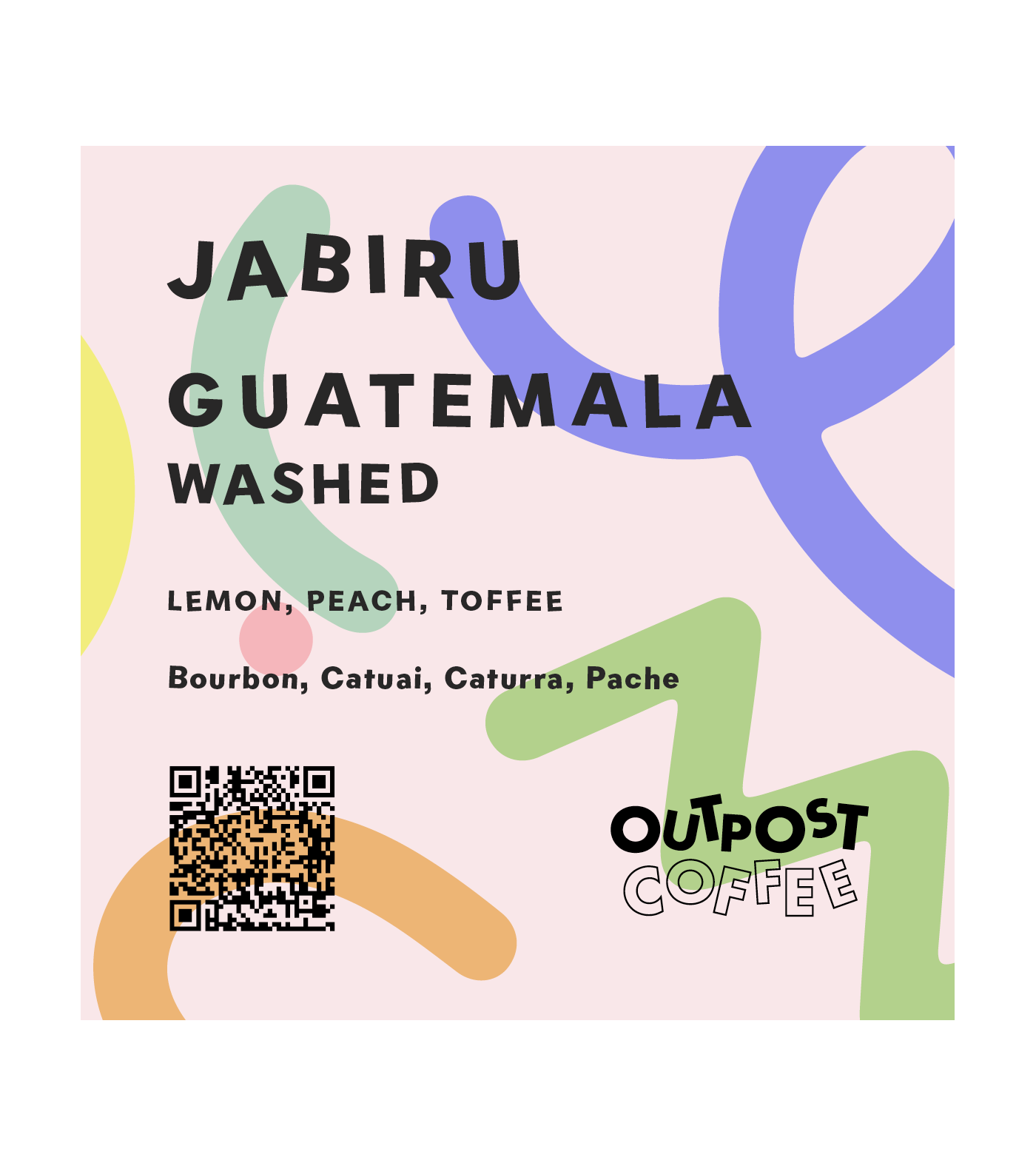 Photo of Jabiru, Washed, Guatemala
