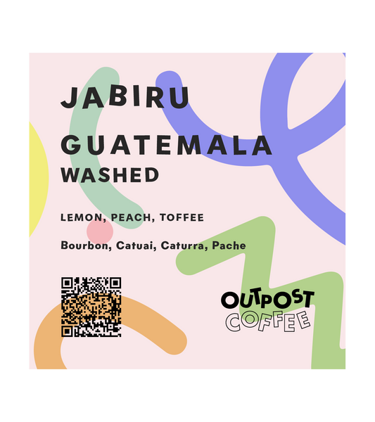 Jabiru, Washed, Guatemala