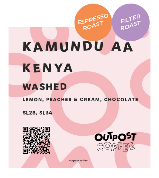 Kamundu AA, Washed, Kenya