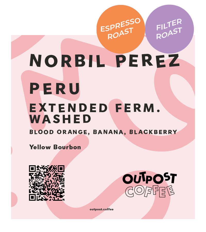 Norbil Perez, Extended Fermentation Washed, Peru