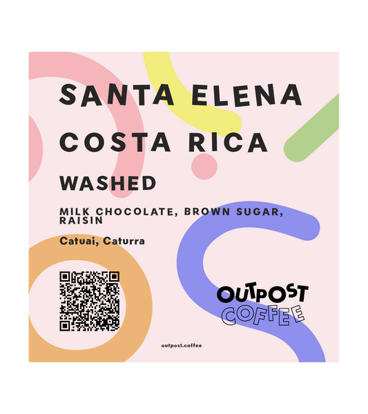 Santa Elena, Washed, Costa Rica