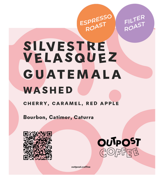 Silvestre Velasquez, Washed, Guatemala