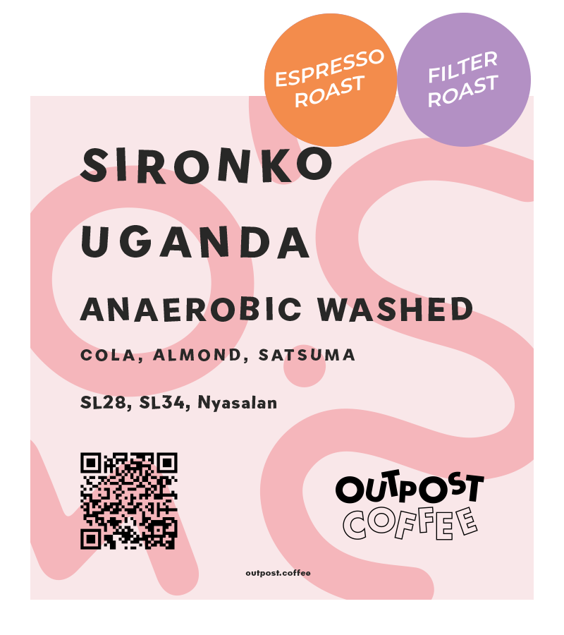 Sironko, Anaerobic Washed, Uganda