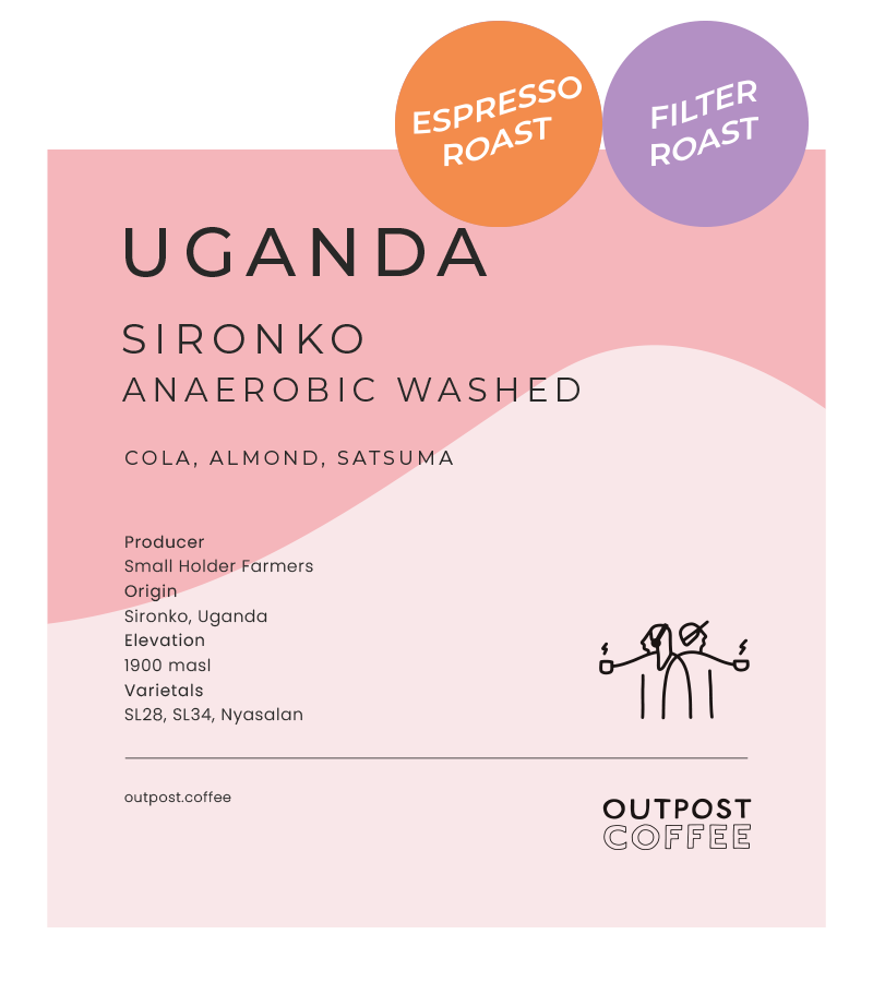 Sironko, Anaerobic Washed, Uganda