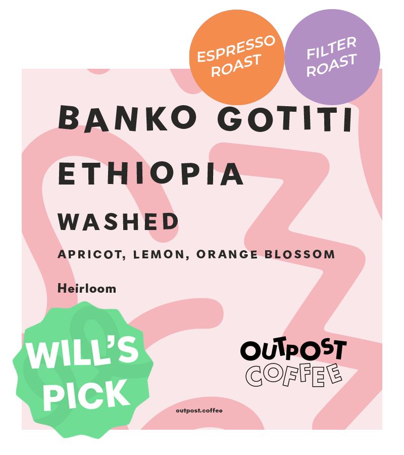 Banko Gotiti, Washed, Ethiopia