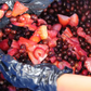 Finca La Pradera, Strawberry-Pulp & Wine-Yeast Infused Fermentation, Anaerobic Honey